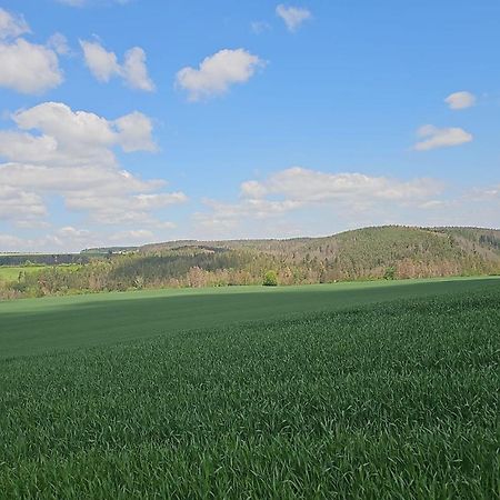 Ferienhaus-Wurzbach Zewnętrze zdjęcie
