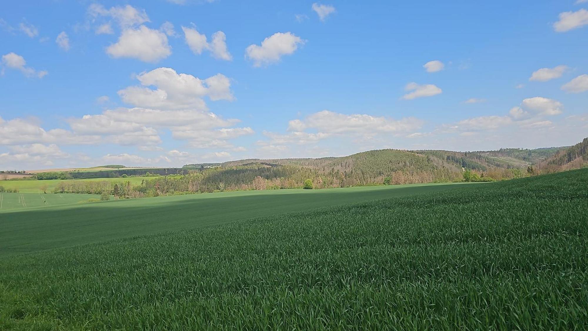 Ferienhaus-Wurzbach Zewnętrze zdjęcie